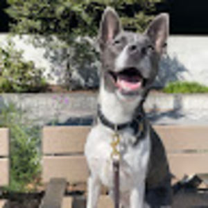 Meet your Posher, Justin